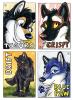 ef16 badges   part...d30uvlf