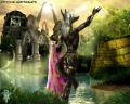 a 1179043742 selke...derland