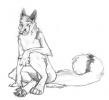 1182582225.blackte...eekyfox
