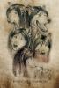 1263951224.alector...heetweb
