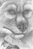 wolfick resized