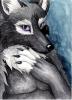 1214456820.sebasti...lverfox