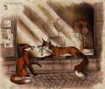 Urban Foxes by Culpeo Fox