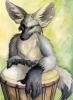 1262549689.sebasti...mbe-fox