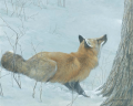 game-over-fox-and-maple.jpg