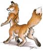 foxtarr