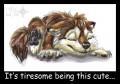 Tiresomecute copy res