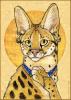 1234389826.synnaba...pserval